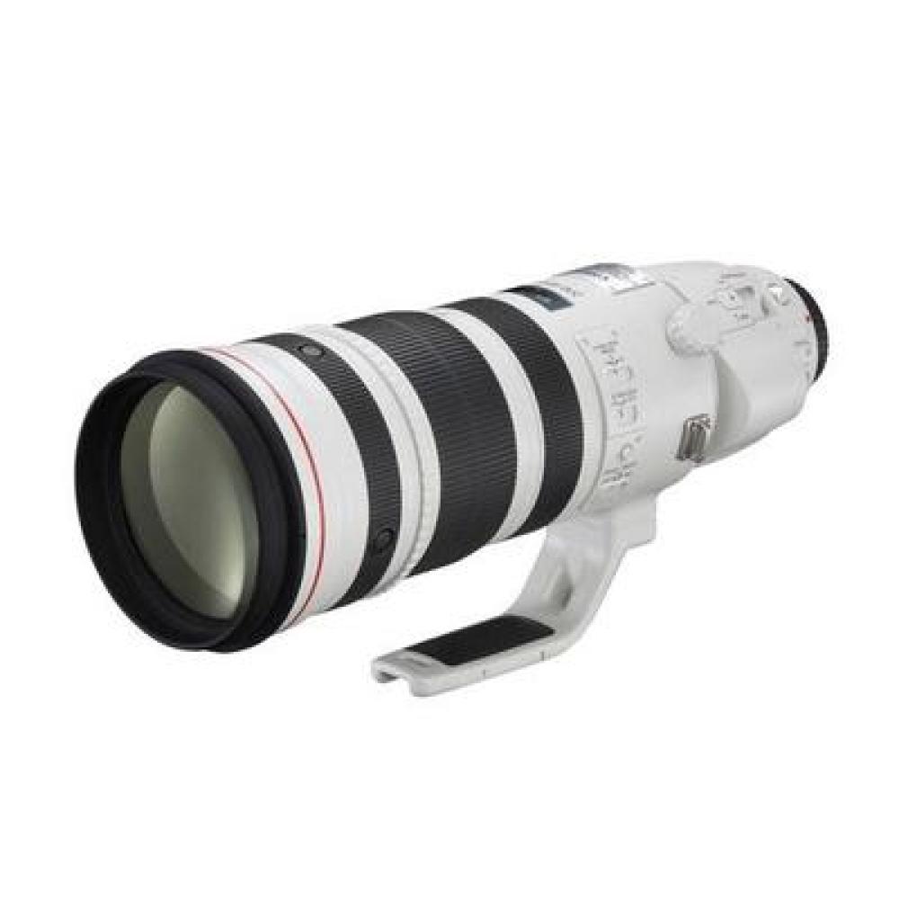 Canon EF 200-400mm F4L IS USM 1.4x Extender